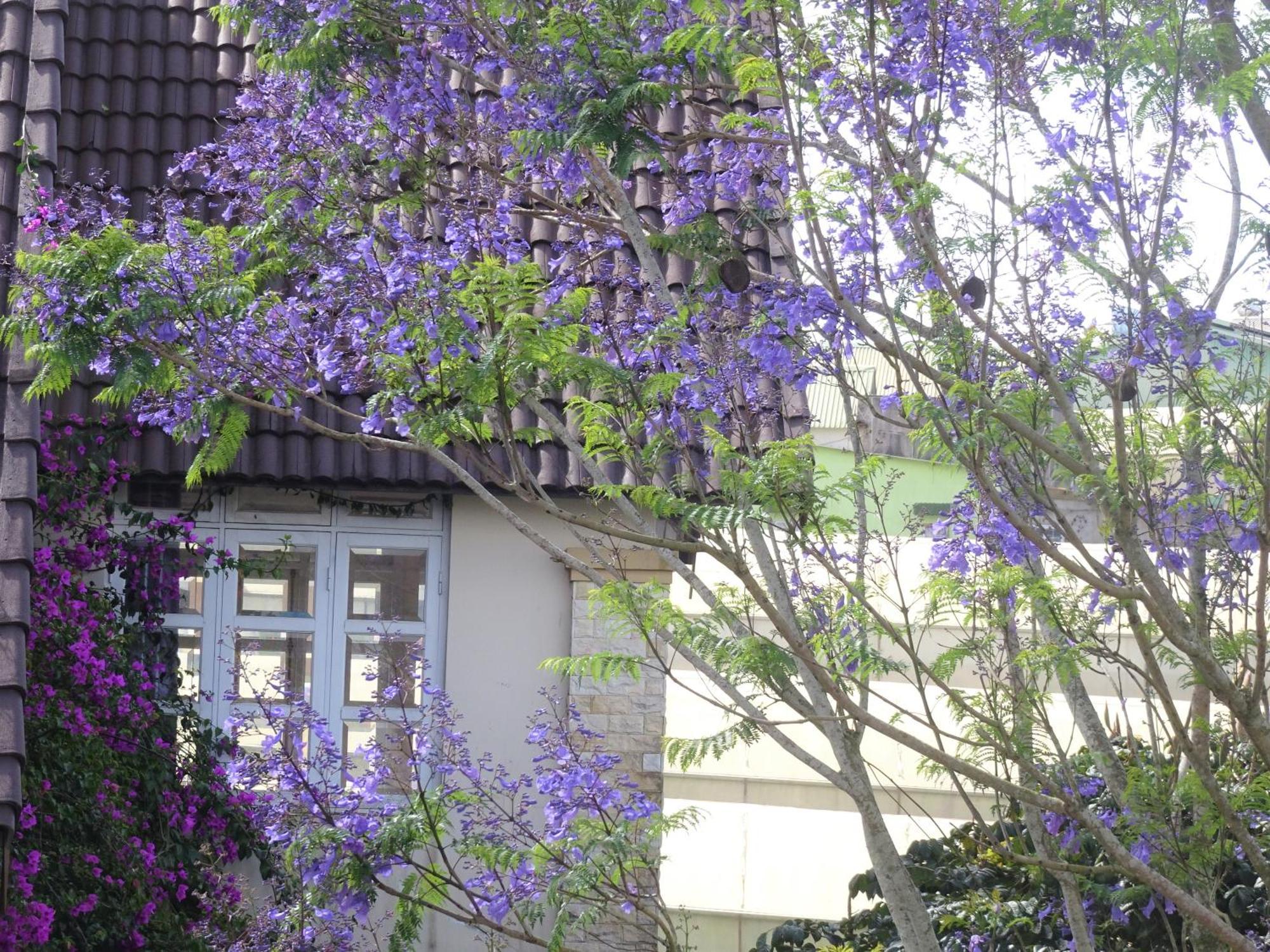 Mento Villa Da Lat Exterior foto